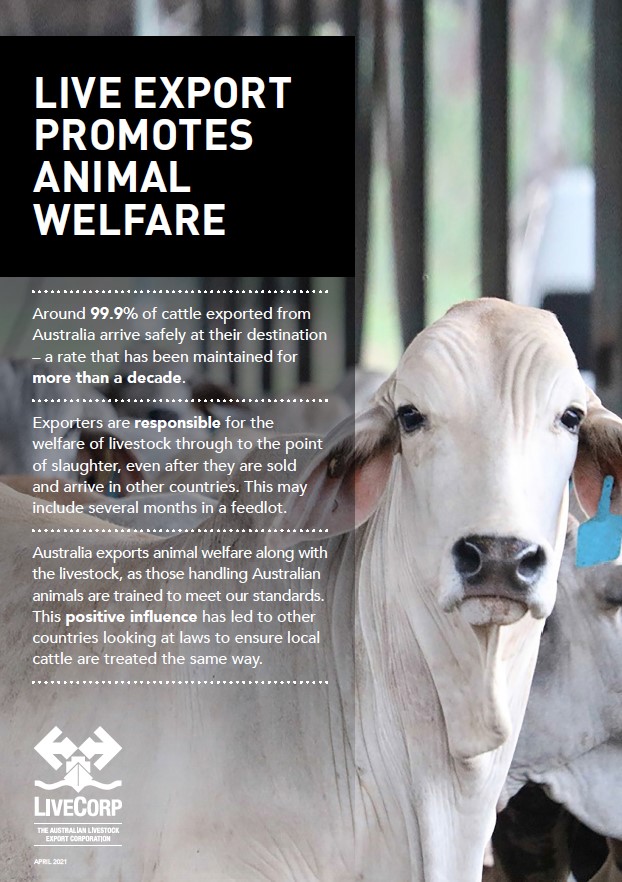 Ekspor sapi hidup mendukung kesejahteraan hewan images
