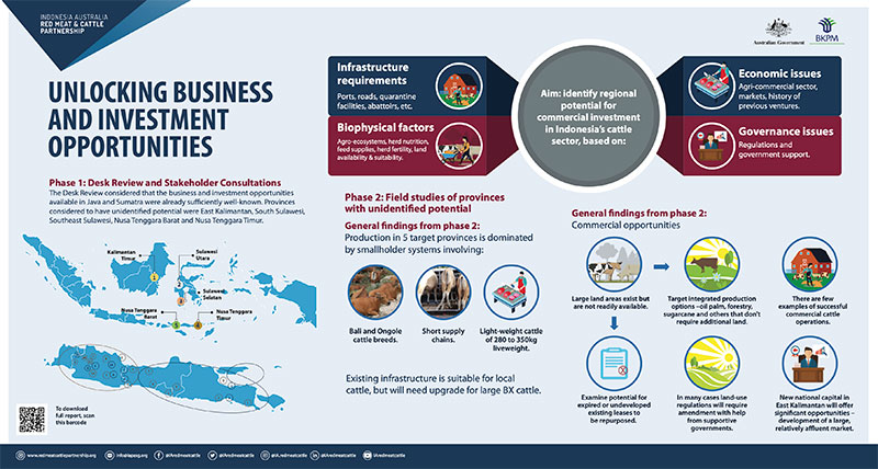 Membuka Peluang Bisnis dan Investasi di Sektor Daging Merah dan Sapi Indonesia images